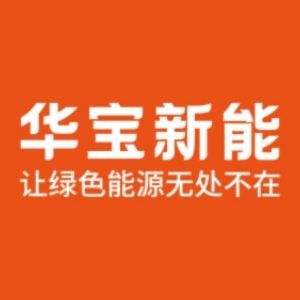 深圳市华宝新能源股份有限公司