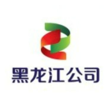 国家电投集团黑龙江电力有限公司
