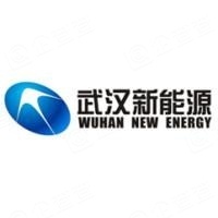 武汉大全能源技术股份有限公司